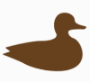 Duck Shutter Cutout