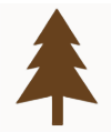 Pine Tree Shutter Cutout